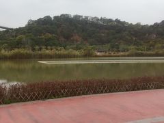 -飞凤山奥体公园