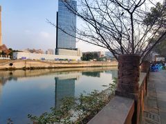 -望江楼公园