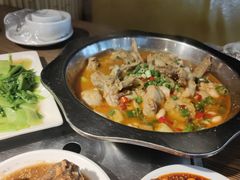 -老号尤兔头(幸福店)