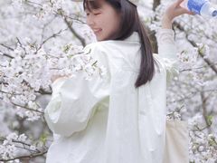 -南山植物园