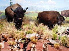 -陕西自然博物馆