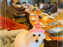 -JUJU韩式烤肉·干杯小酒馆