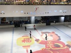 -TheRink大零溜冰场(IFS国金中心店)