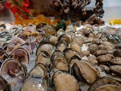 -鲤鱼洲酒店港鲤咖啡厅