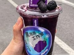 超级多肉桑葚-伏小桃(明瓦廊店)