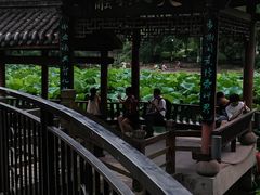 -龙头寺公园