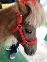 -萌宠亲子动物乐园(槐房万达店)