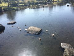 -水前寺成趣园