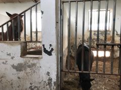 -月河湾马术俱乐部(朝阳店)