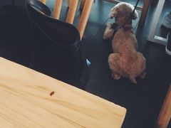 -Egg•Allday Brunch(襄阳北路店)