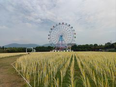 -云幽谷旅游区