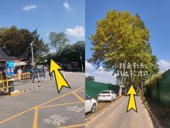 -幕燕滨江·燕子矶公园