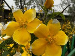 -永定河休闲森林公园