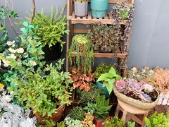 -IFIF 如果花園(宽厚里店)