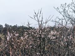 -海螺沟风景区