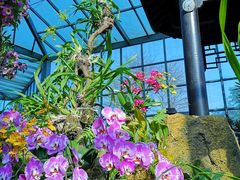 -东莞植物园
