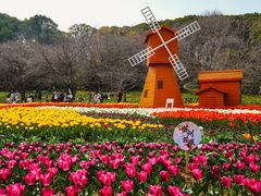-苏州上方山国家森林公园