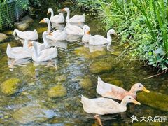 -太白山御龙湾温泉