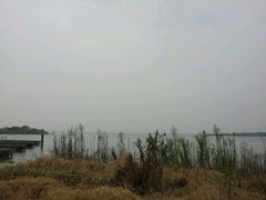 android_upload_pic-丫丫蟹庄·苏式园林农家乐·阳澄湖大闸蟹(阳澄湖莲花岛店)