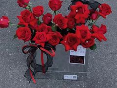 -海底捞火锅(公益西桥店)