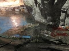 -石家庄海洋公园