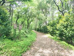 -平湖九龙山旅游度假区