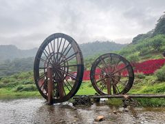 -广州市石门国家森林公园