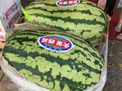 -油麻地果栏