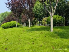 -济南国际园博园