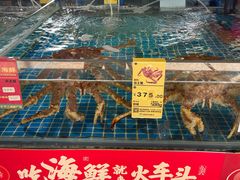 -鸿港海鲜批发市场