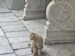 -高旻寺