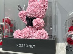 -ROSEONLY诺誓(沈阳万象城店)