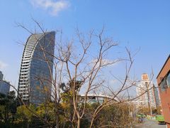 -丹东路渡口(轮渡站)