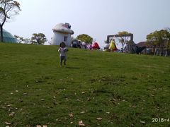 -上海都市菜园