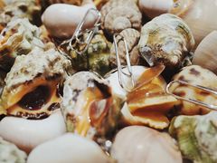 -天天渔港海鲜酒家(石浦玉泉路店)