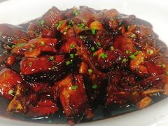 -外滩1288花园丽舍