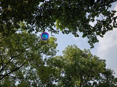 -上海共青森林公园