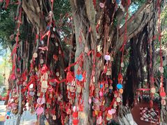 -白帝城·瞿塘峡景区