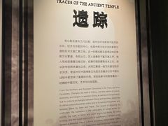 -四川大学博物馆