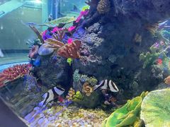 -成都浩海立方海洋公园