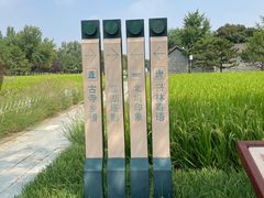 -北坞公园