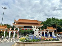 -深圳仙湖植物园