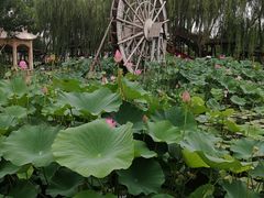 -河北村民俗体验园