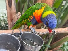 -南宫五洲植物乐园