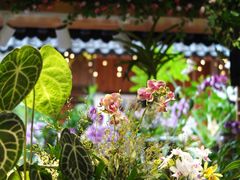 -谷咖啡·鲜花绿植花园餐厅