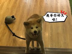 -YCHL Studios健身工作室(市二宫店)
