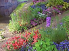 -上海共青森林公园