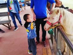 -仙海旅游度假区