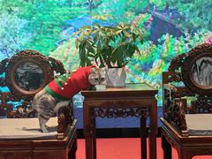 -老北门·苏帮菜·湖景包间(月光码头店)