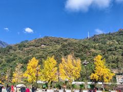 -报恩寺(平武县)